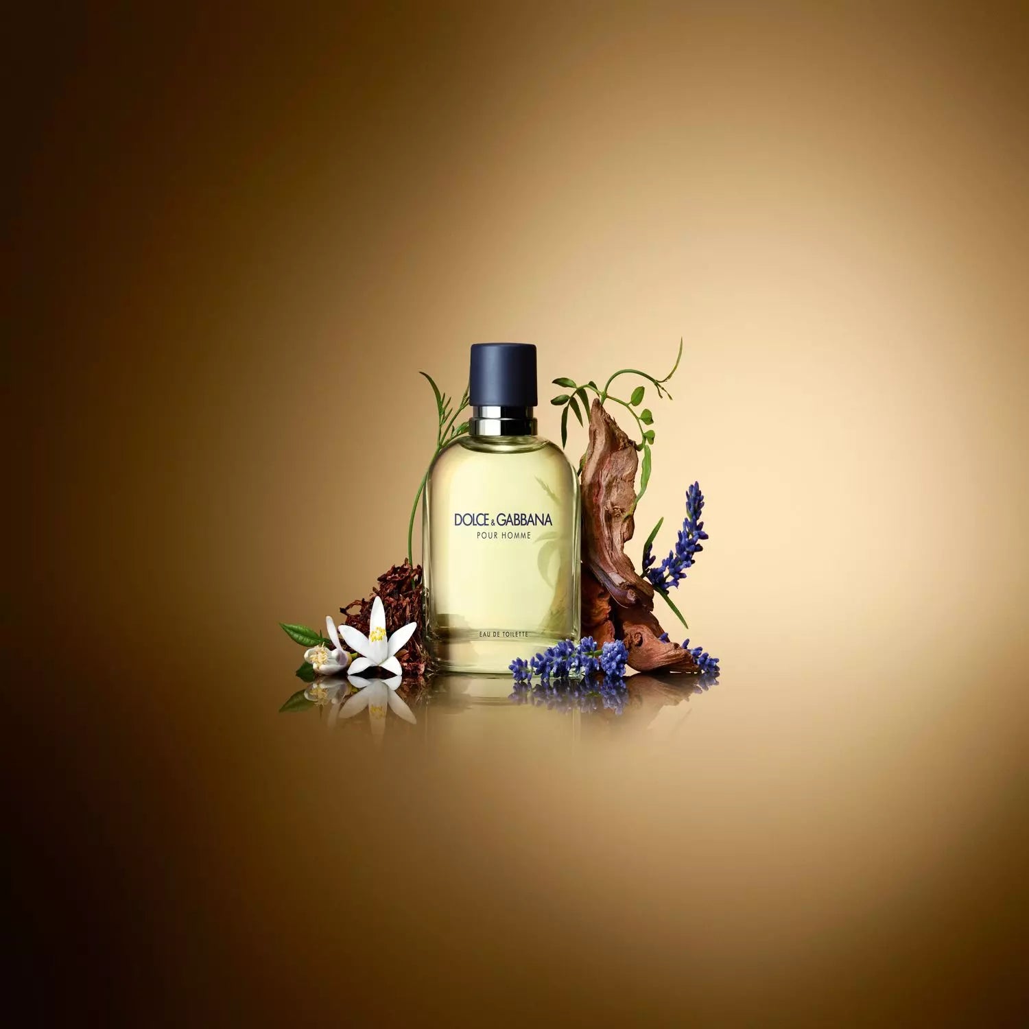 Dolce & Gabbana Pour Homme edt 75 ml