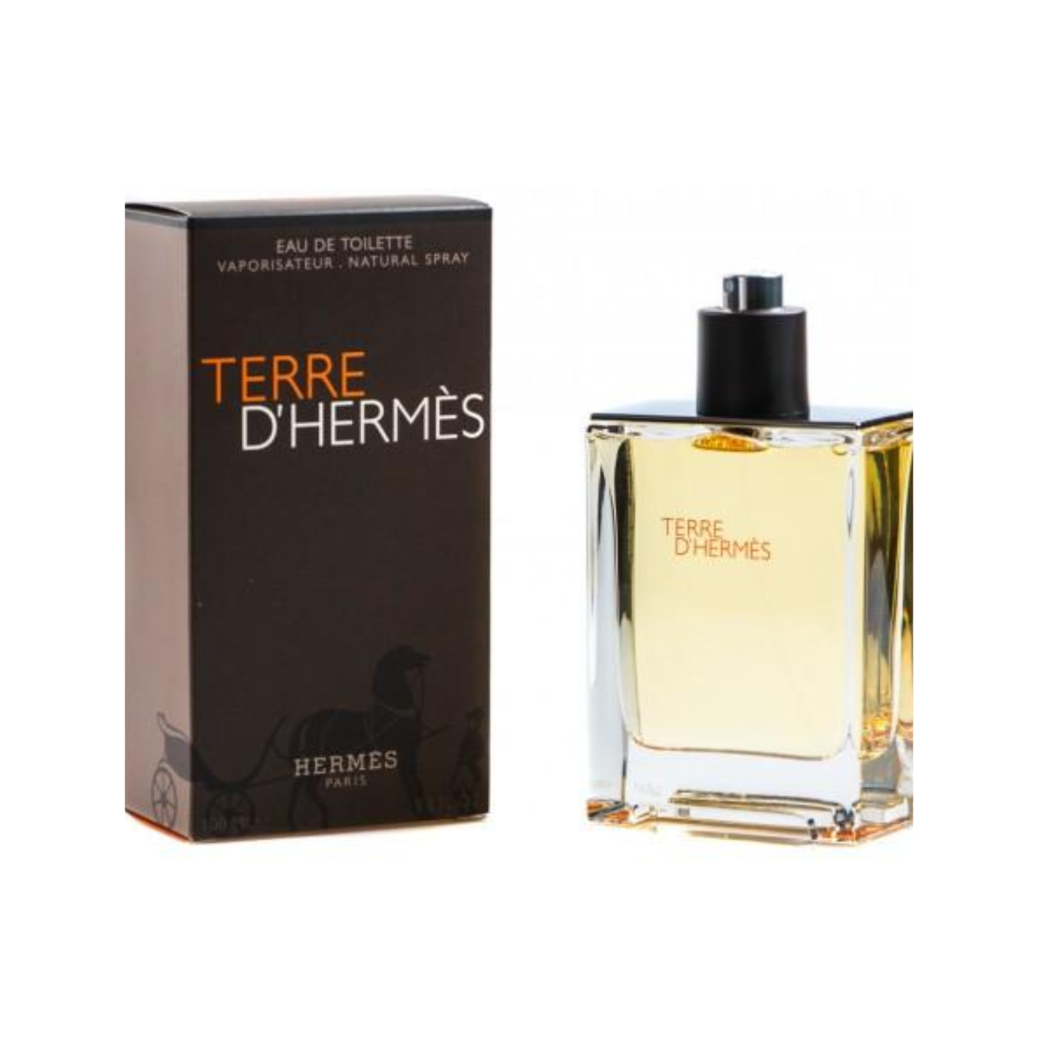Perfume Terre d'Hermès Edt 100ml Hombre